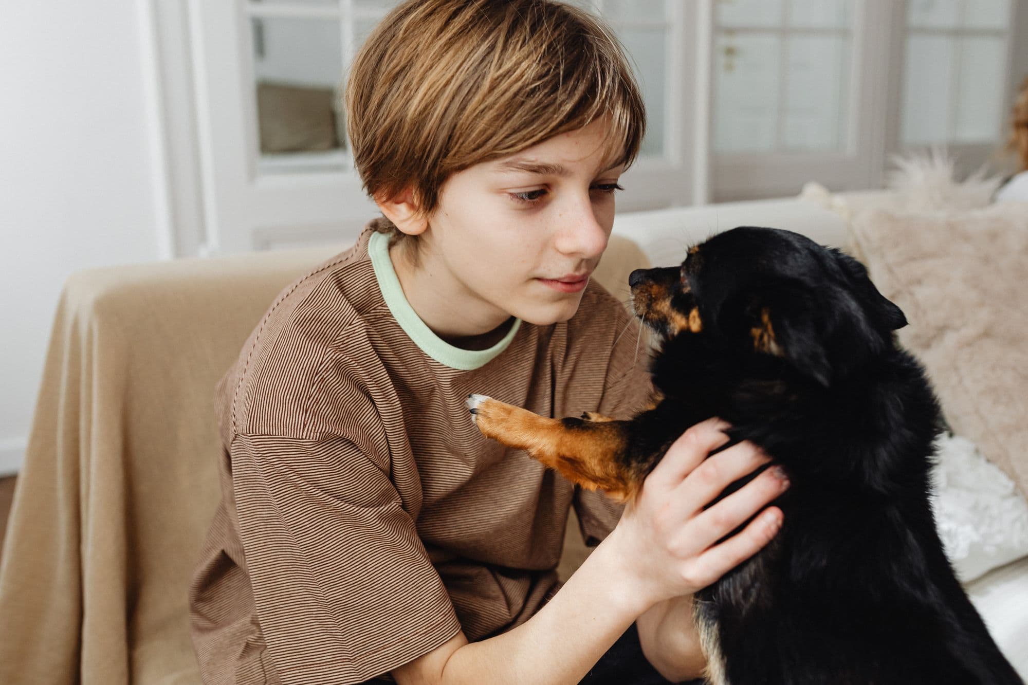 A boy cuddling his black dog on the sofa