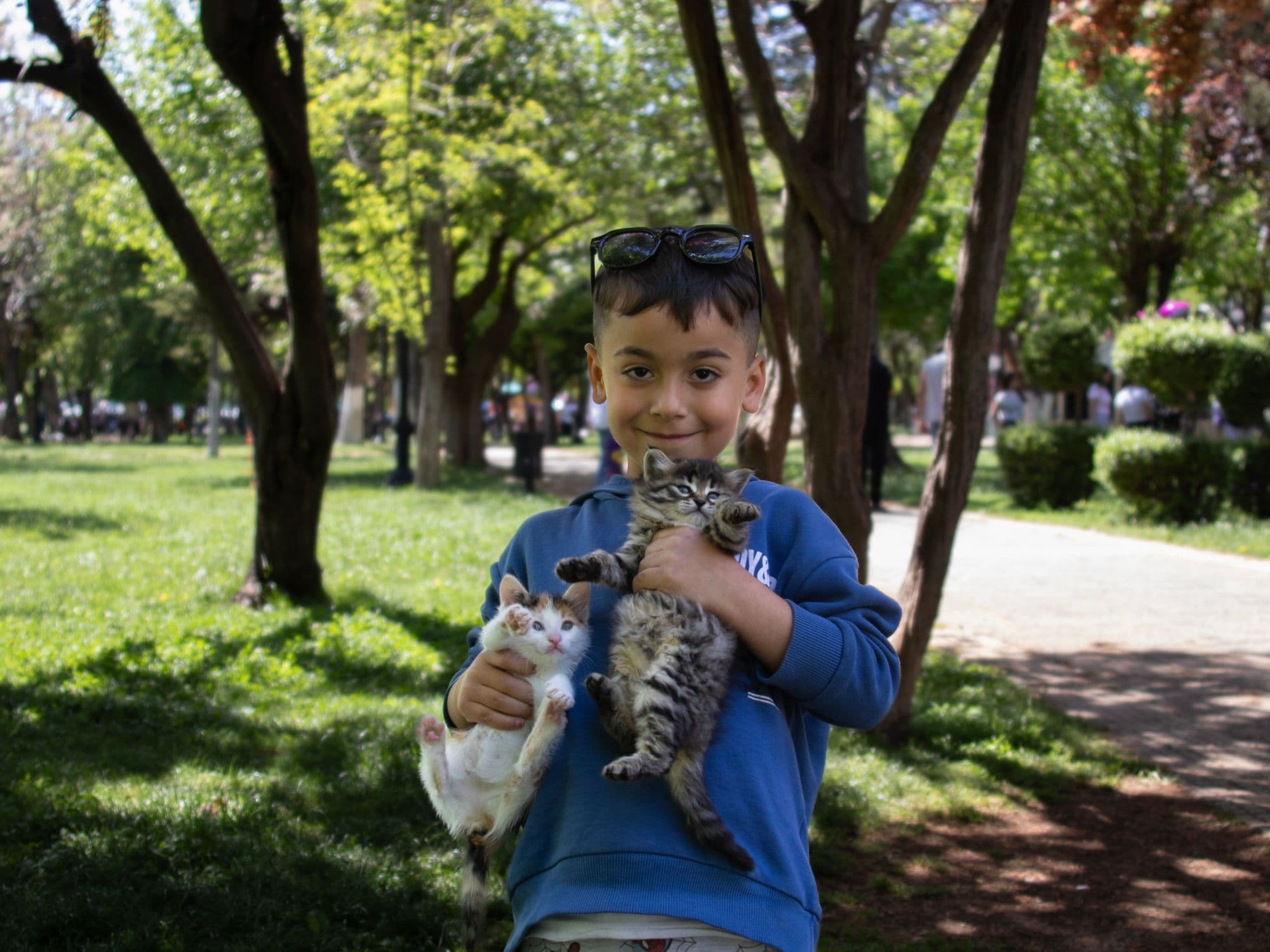 A boy holding two kittens in a park