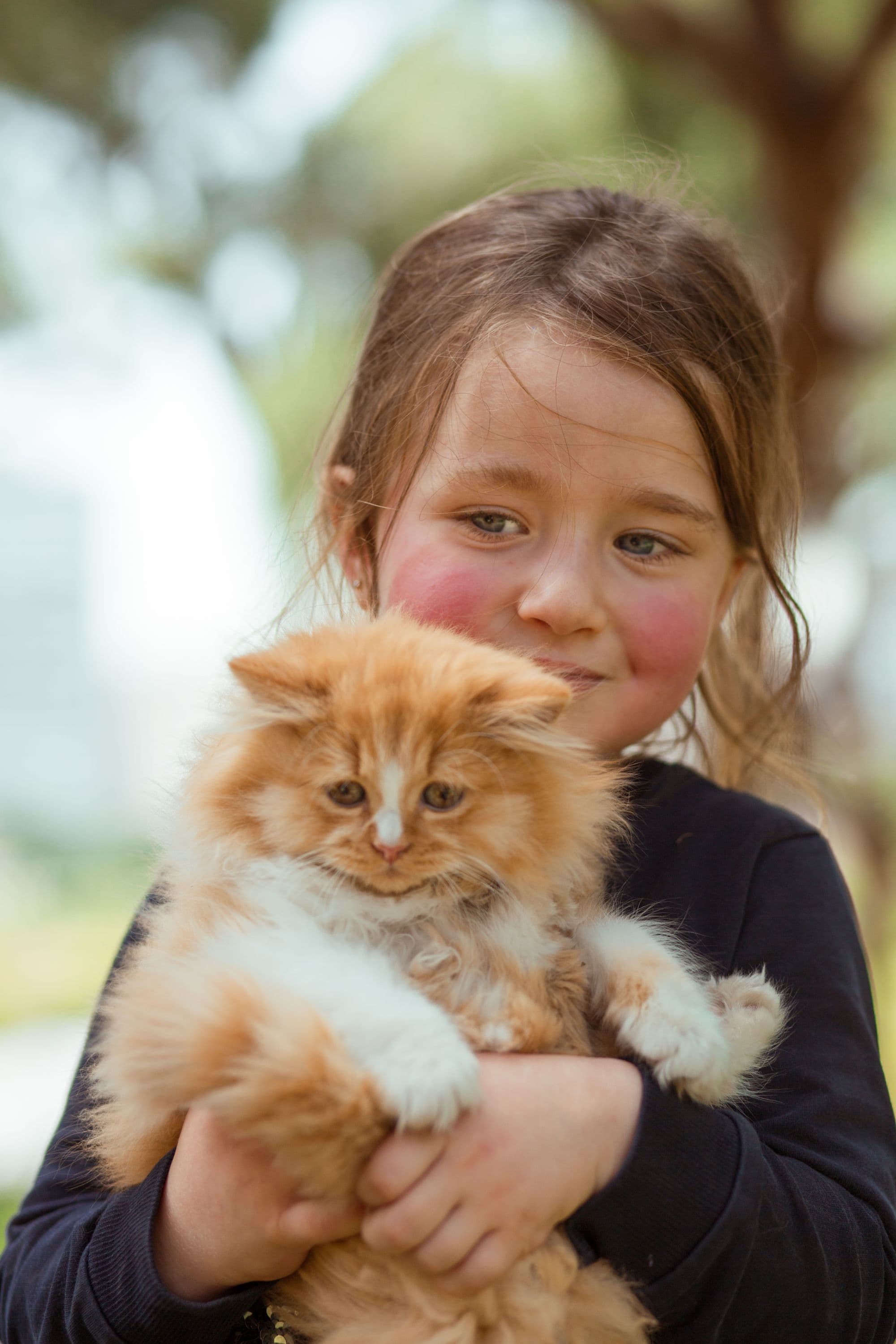 A girl holding a fluffy ginger kitten