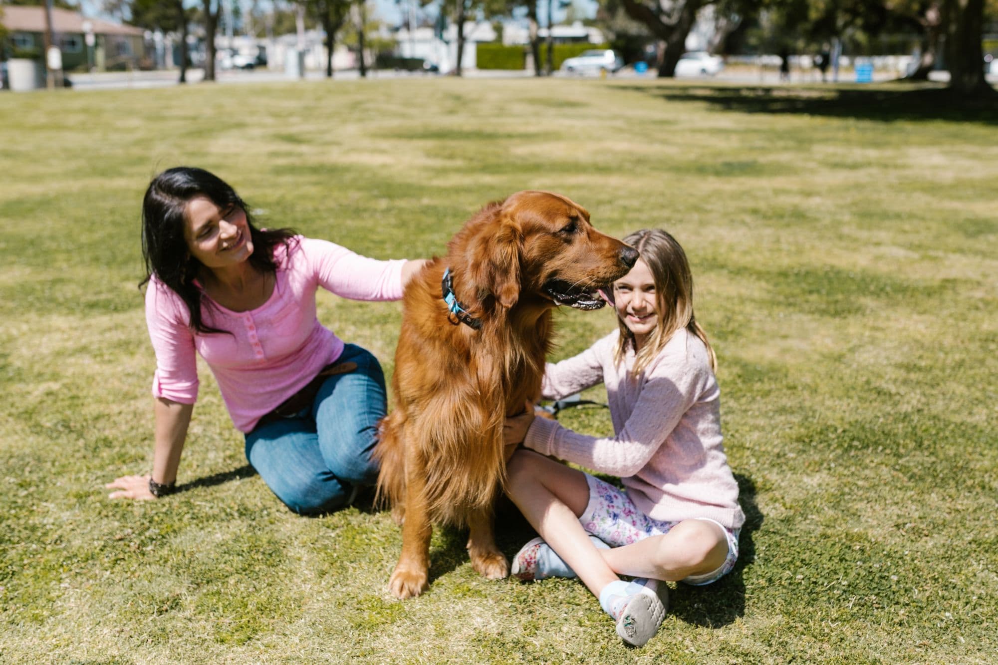 A mother and daughter playing with their golden retriever on the lawn